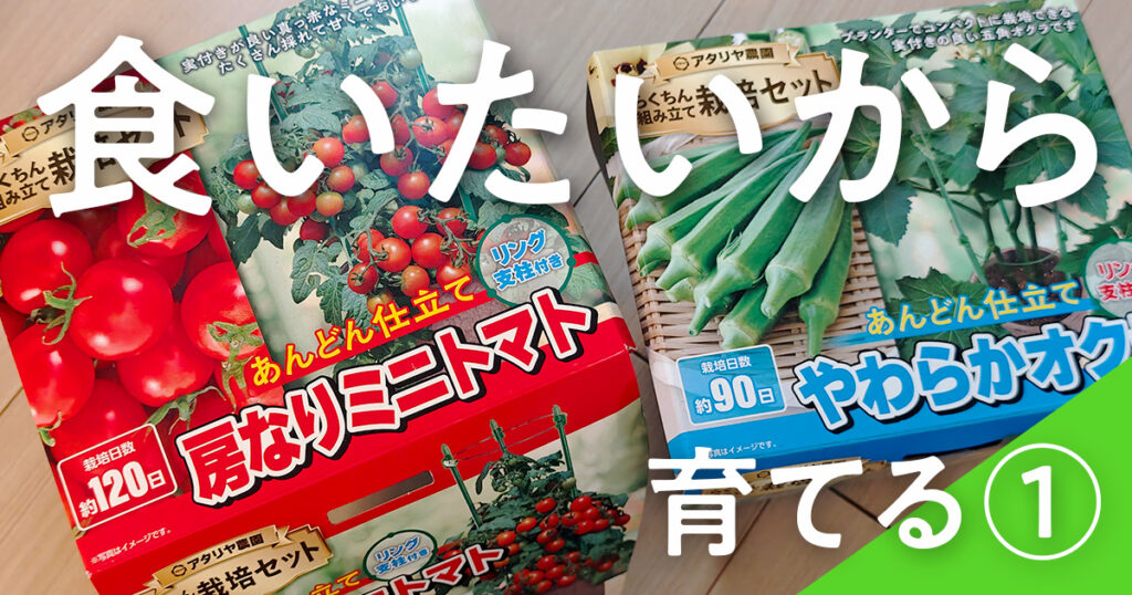 アタリヤ農園栽培セット 房なりミニトマトとやわらかオクラを育てるレビュー